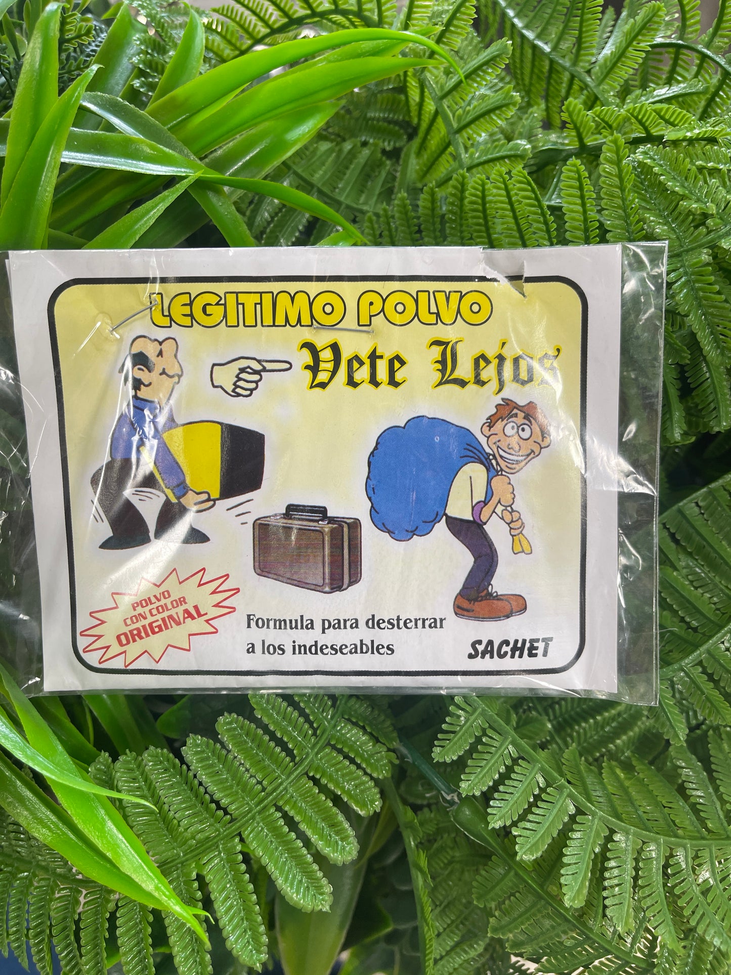 Polvo Vete Lejos