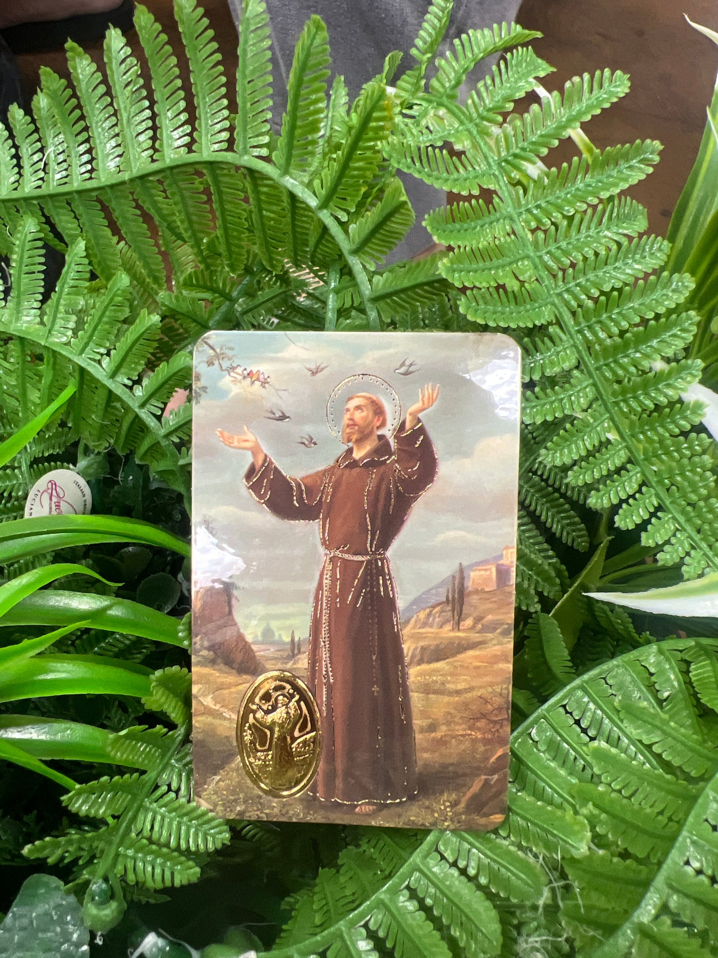Oración de San Francisco