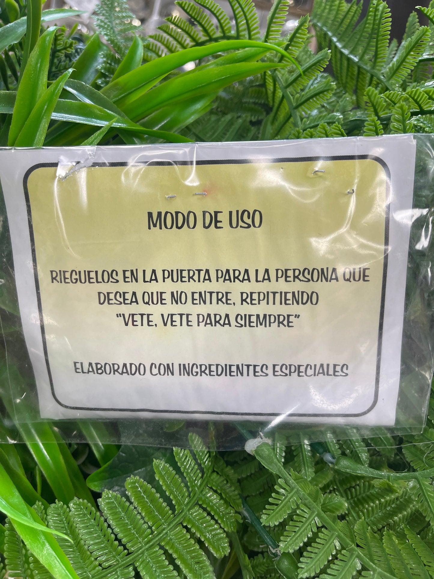 Polvo Vete Lejos