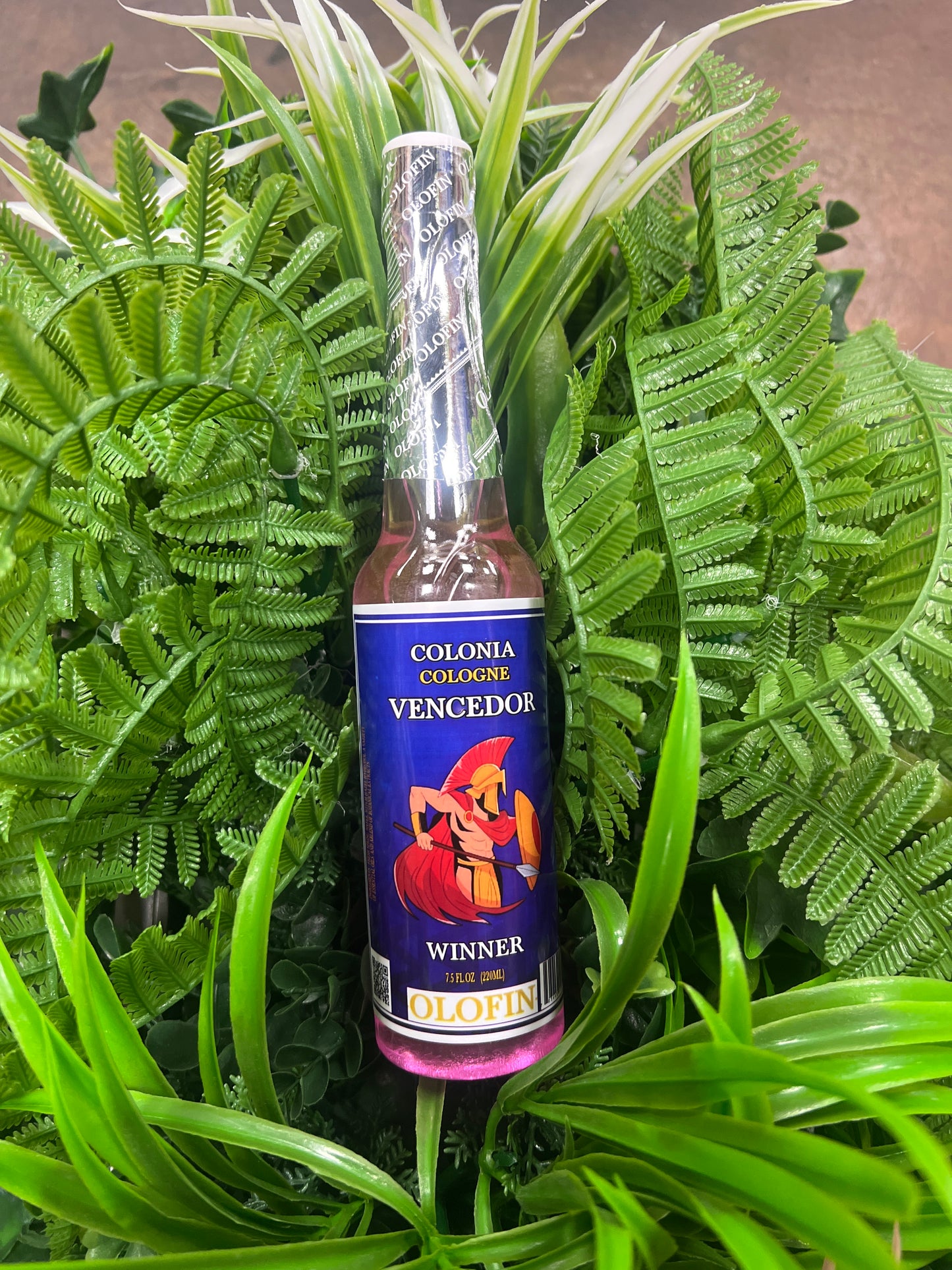 Colonia Vencedor