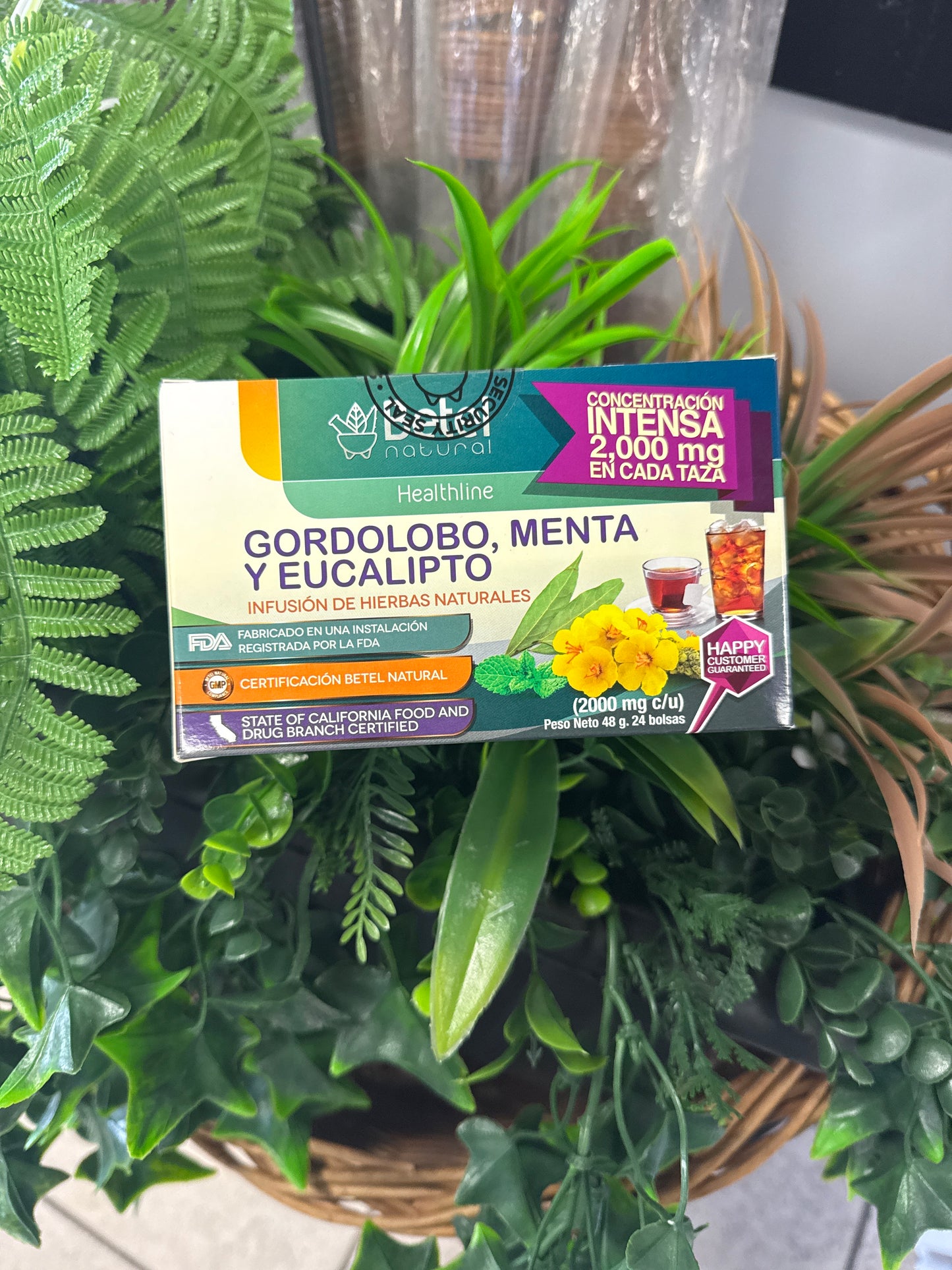 Te Gordolobo menta y Eucalipto