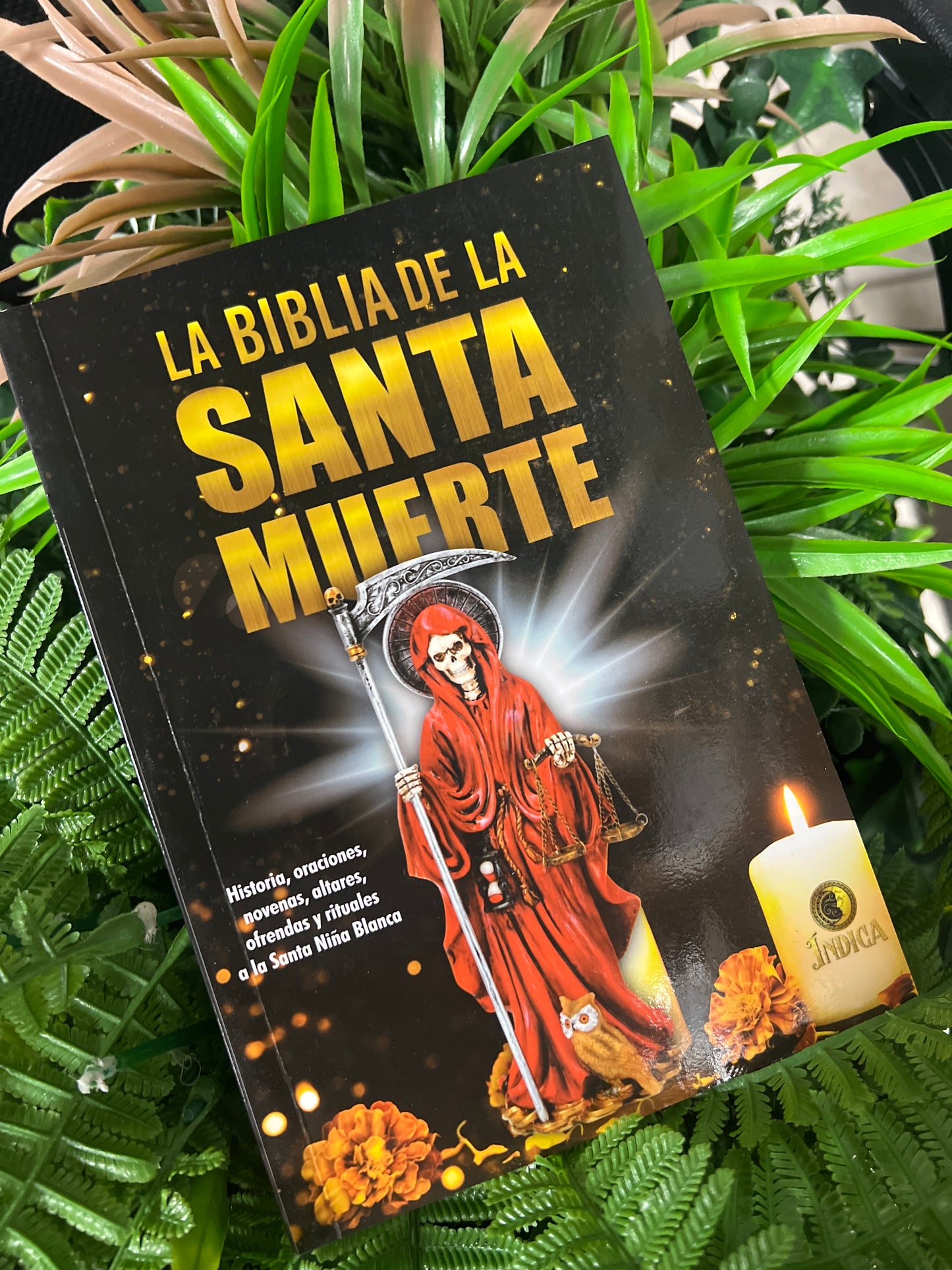 La Biblia de la Santa Muerte