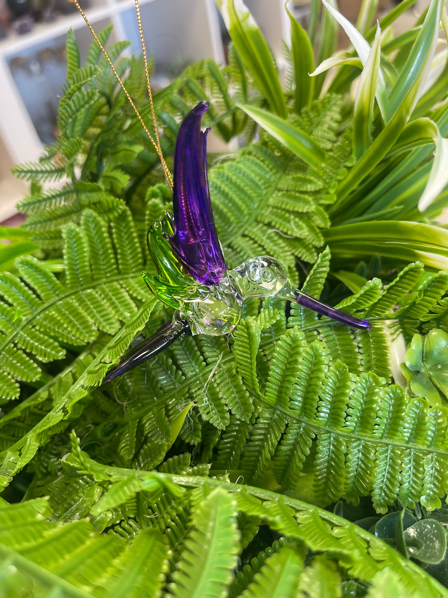 Colibrí color Morado con Verde