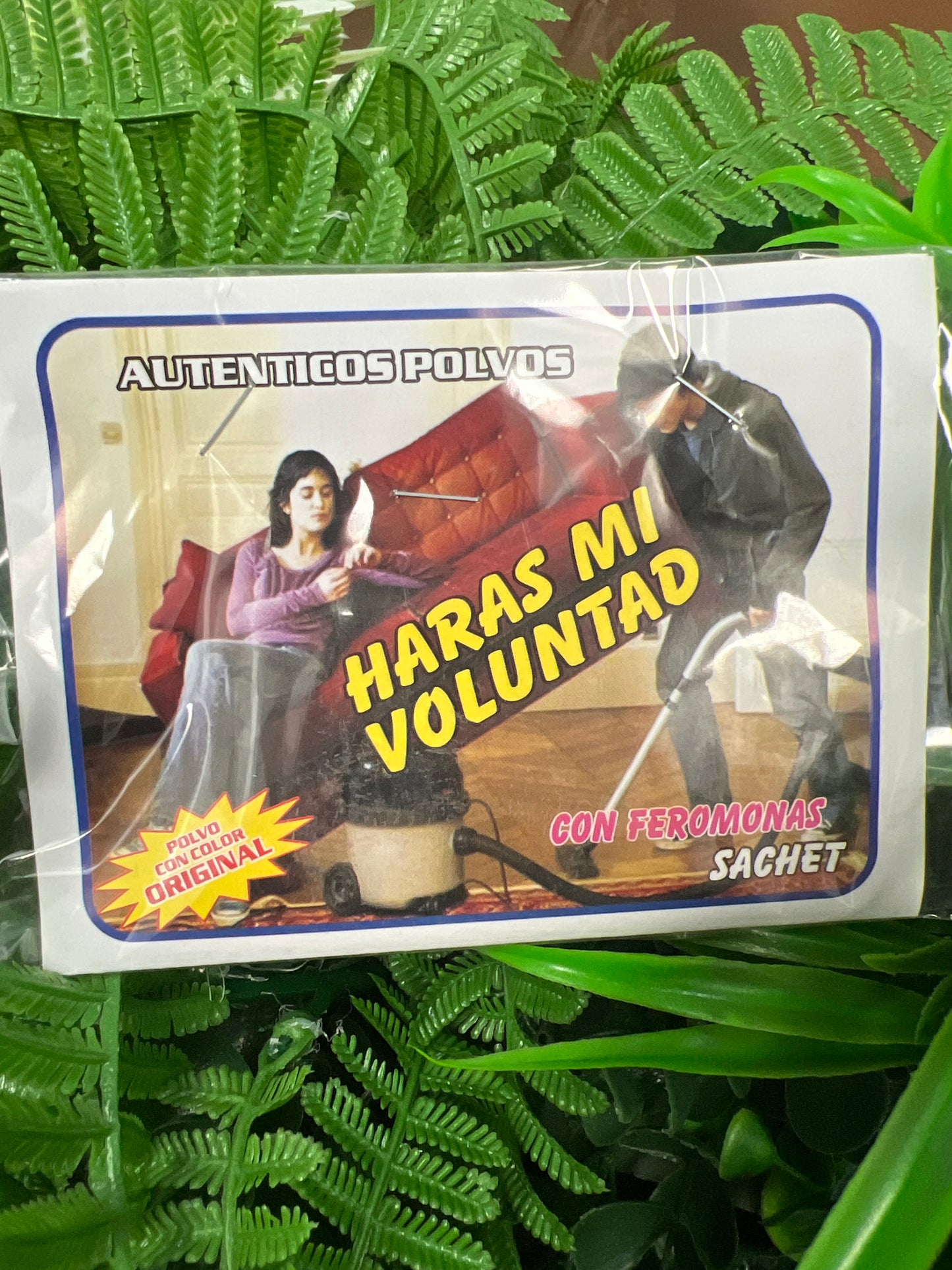 Polvo Harás mi Voluntad