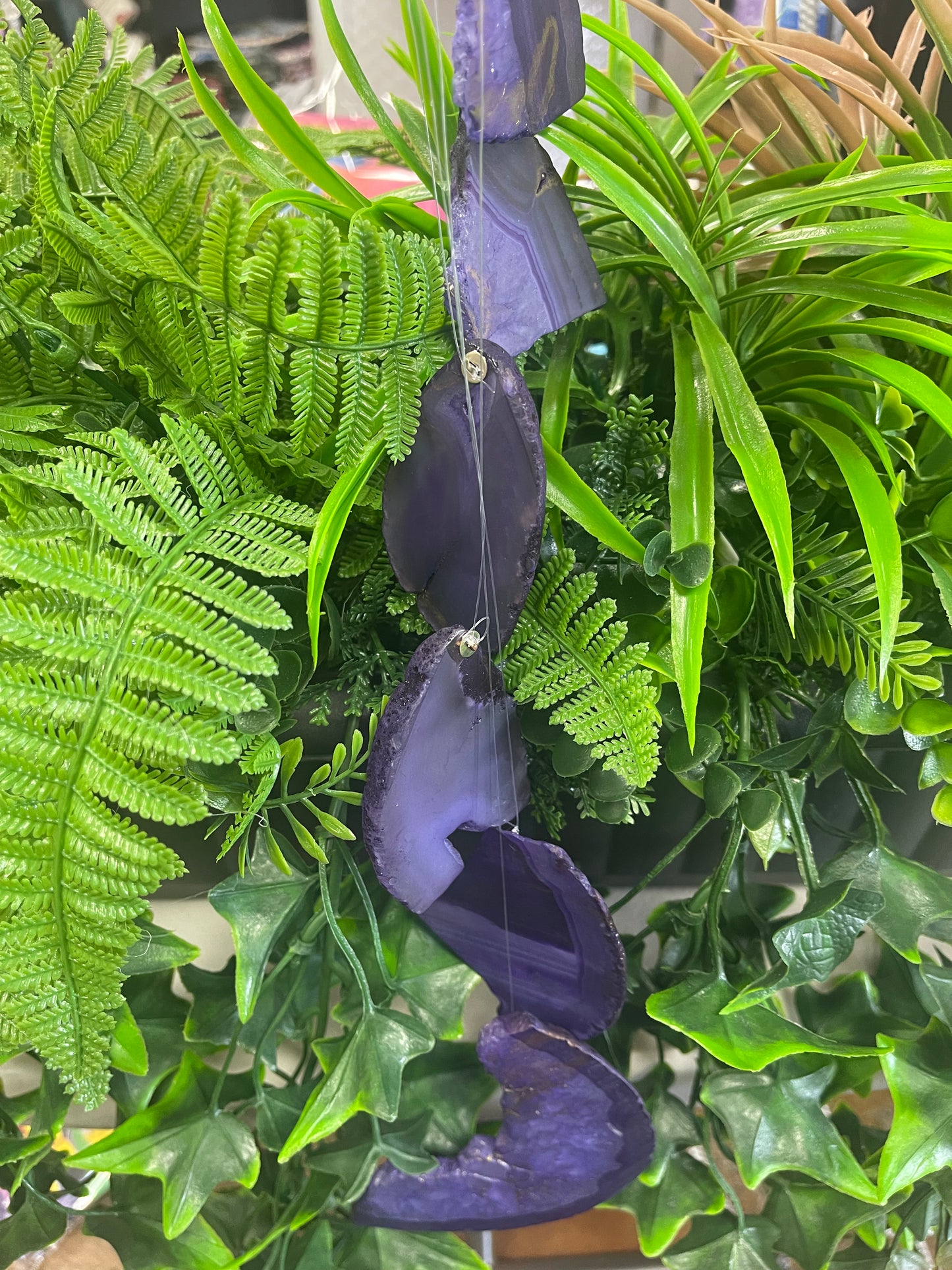 Chismoso Ágata Morada