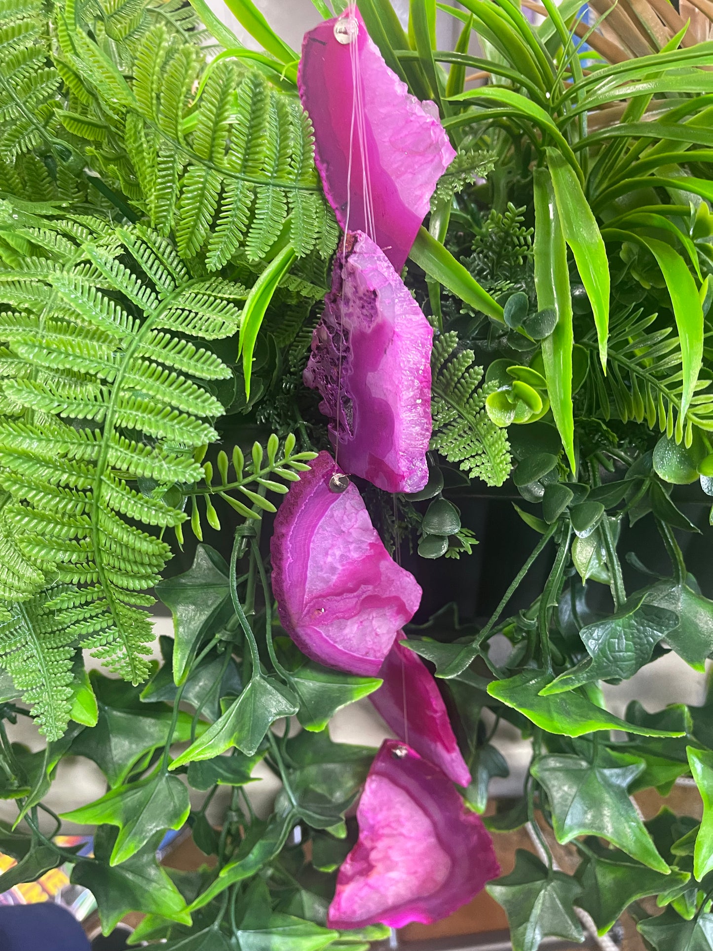 Chismoso Ágata Rosa