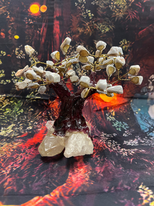Árbol #6