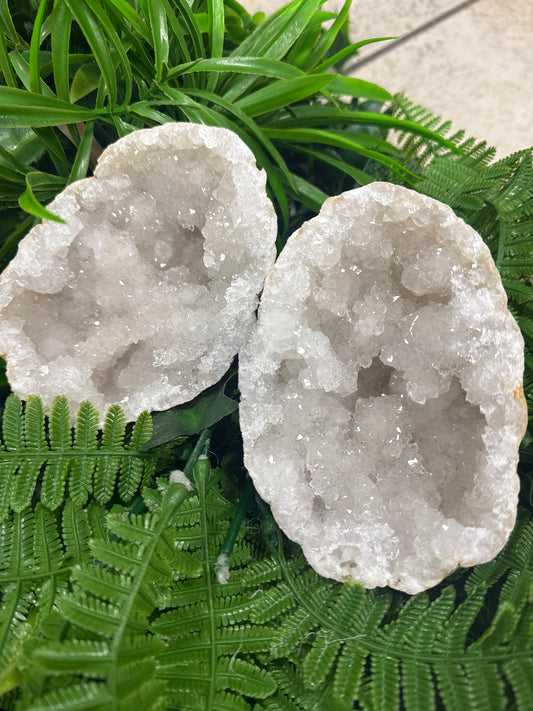 Geoda blanca XL A60