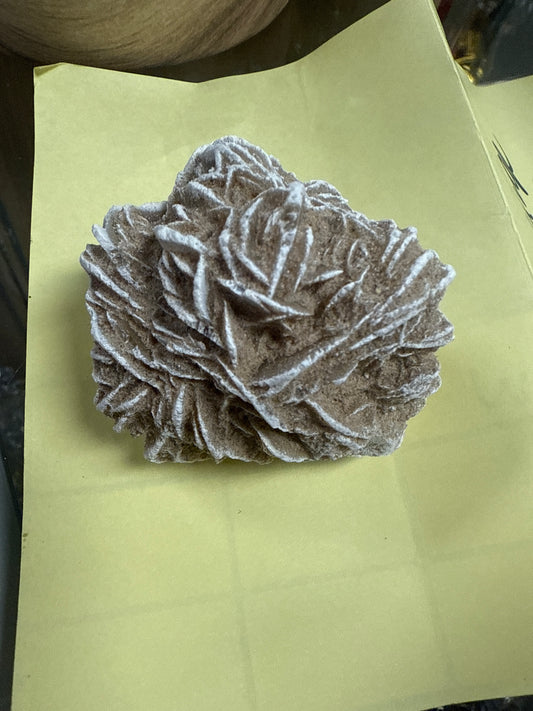 Flor del desierto grande