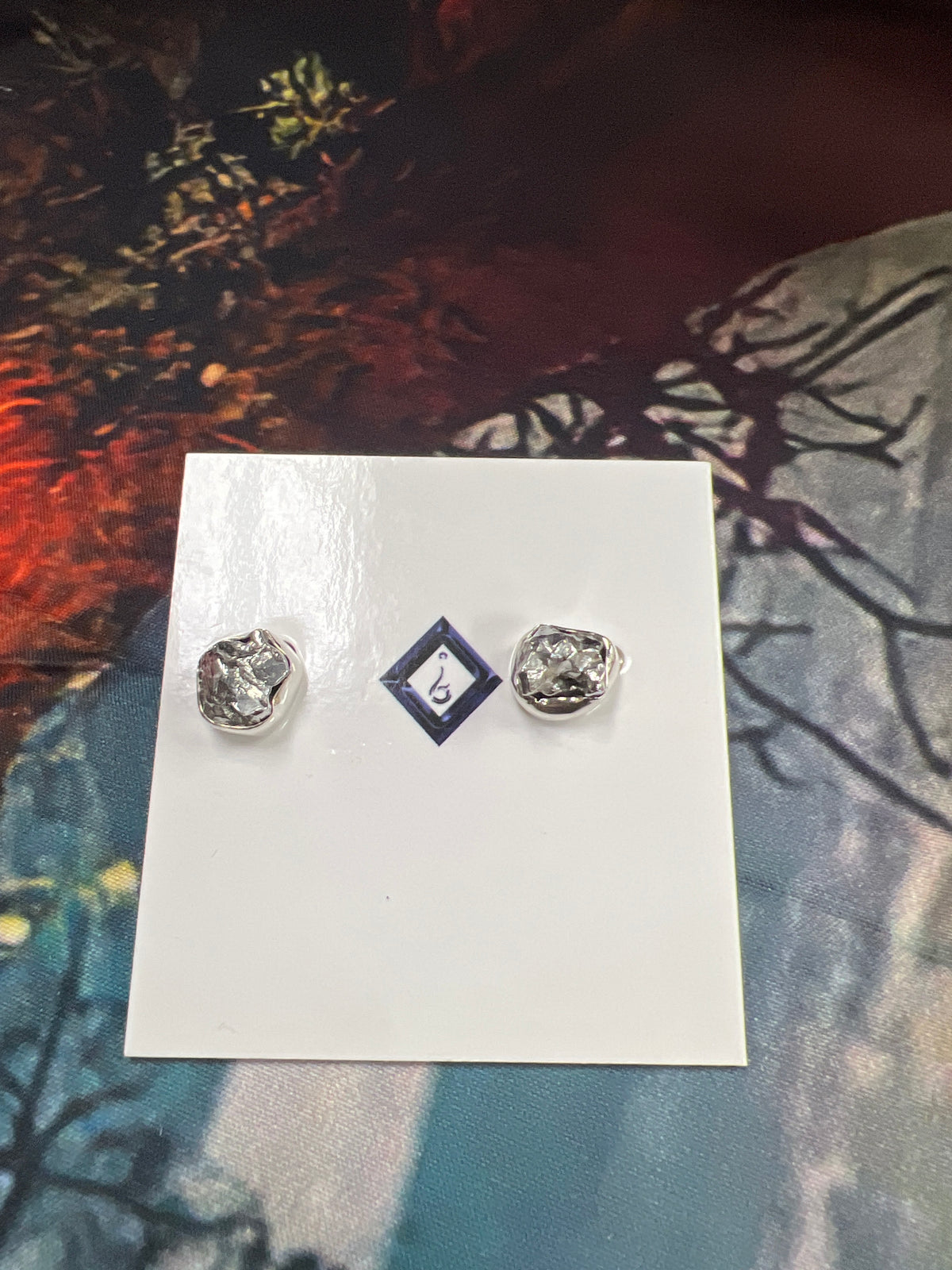 Earrings de meteorito