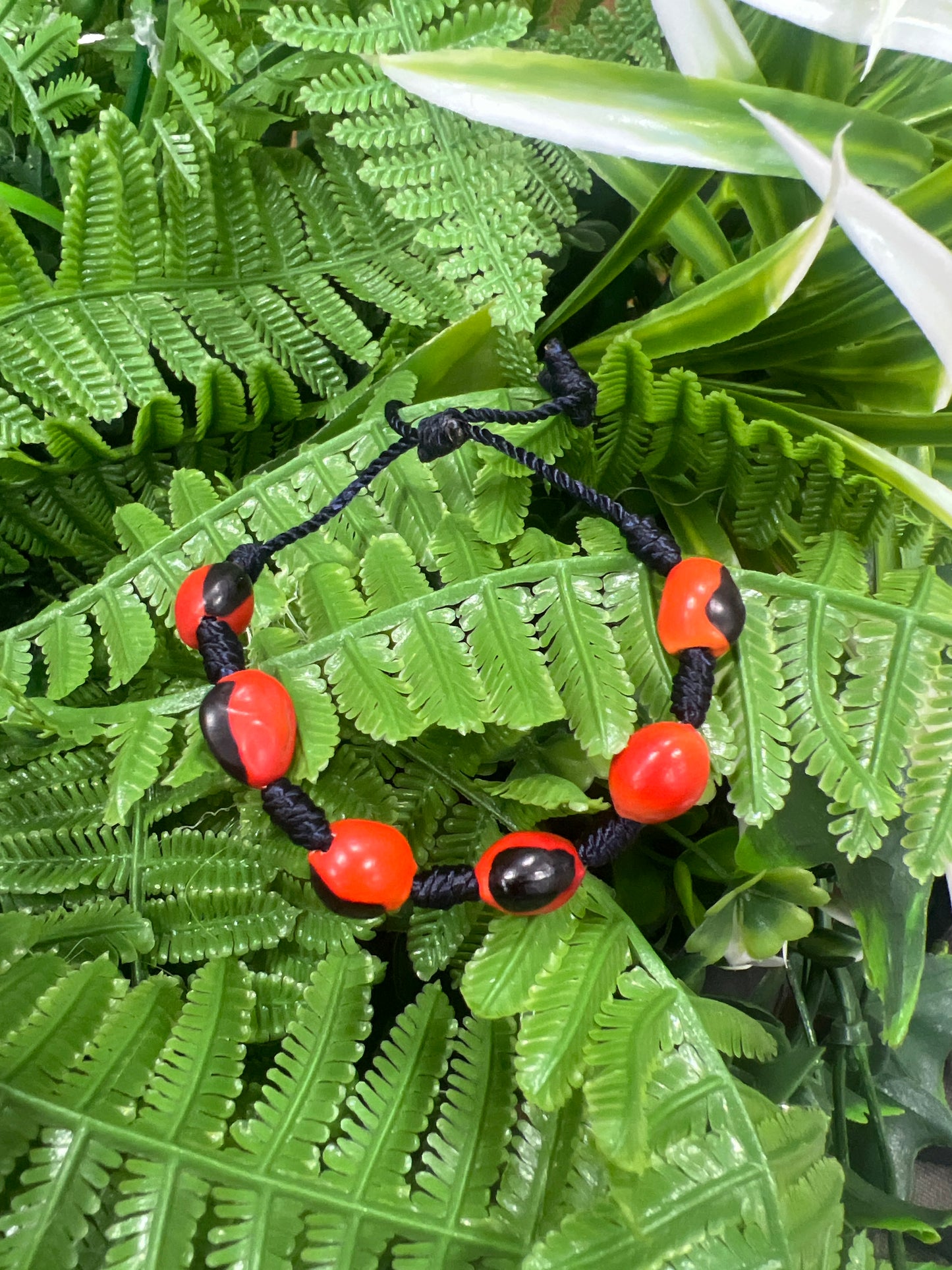 Pulcera huayururo
