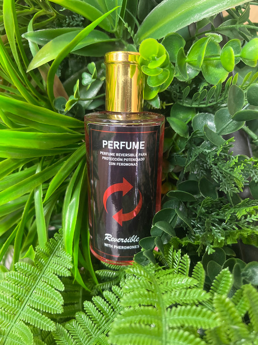 Dorado Perfume Reversible