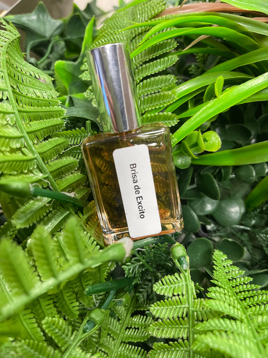 Perfume Brisa de Éxito