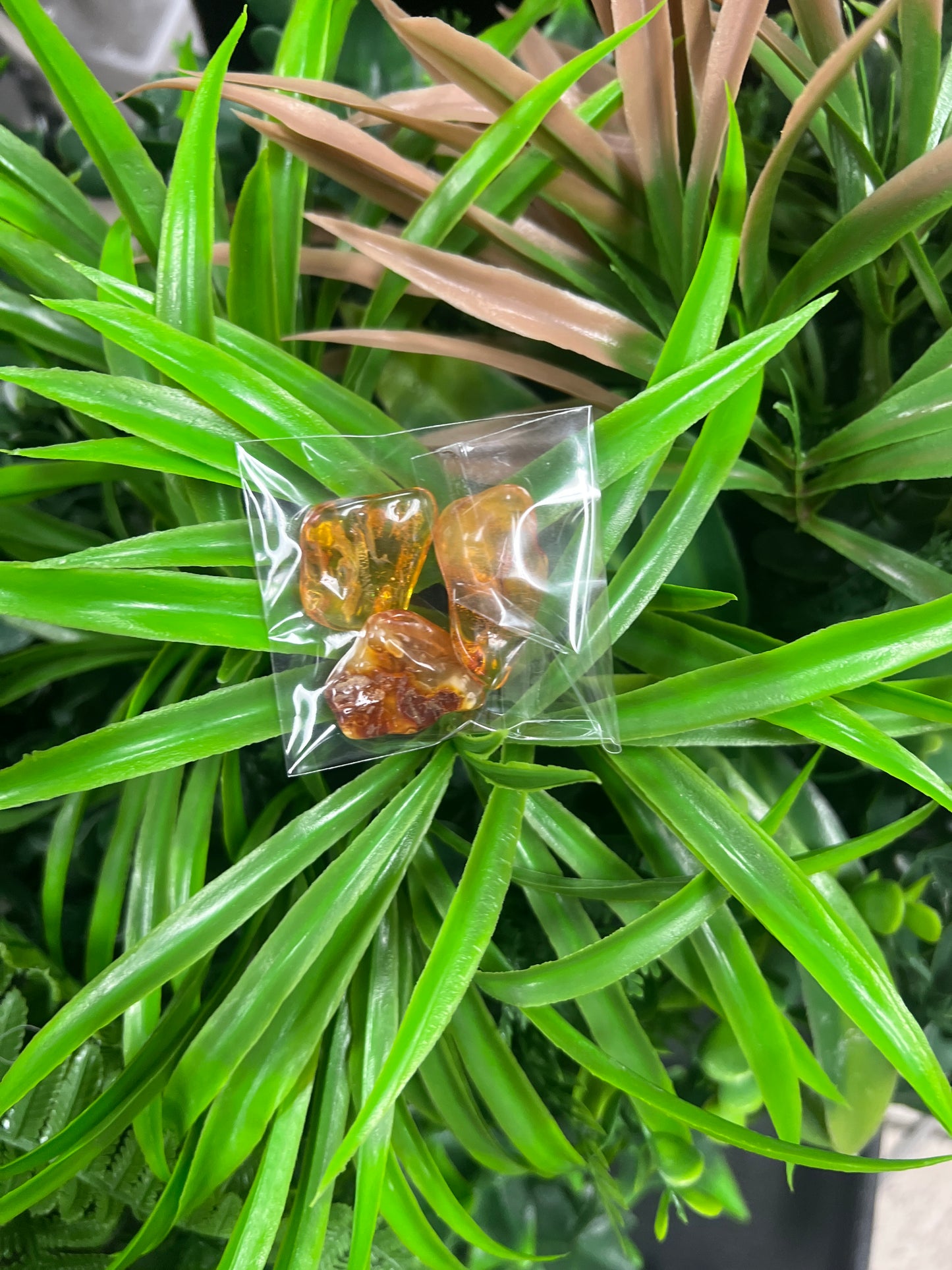 Amber 3