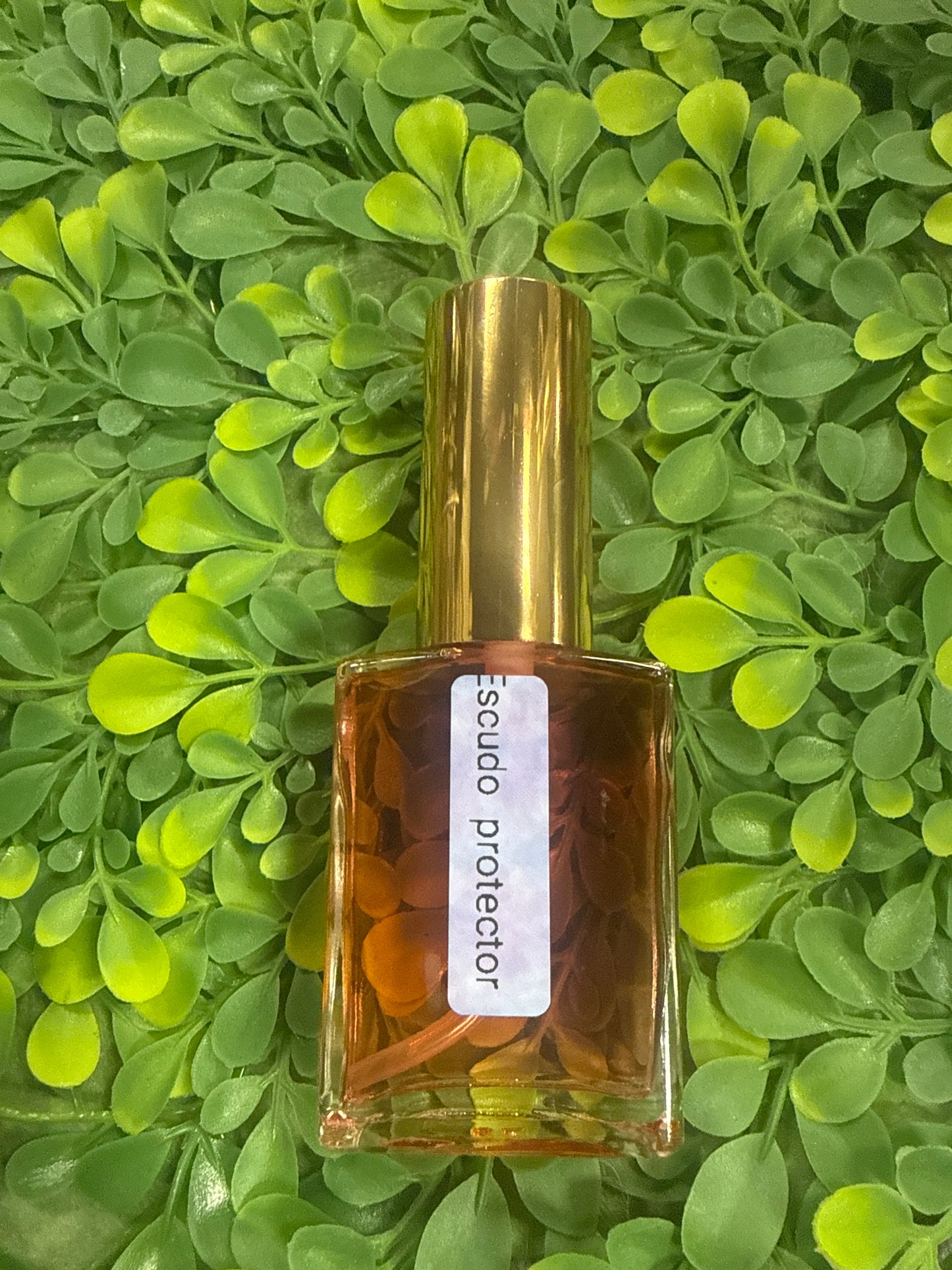 Escudo Protector Mediano