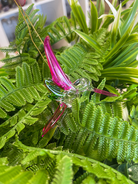 Colibrí color Rosa con verde