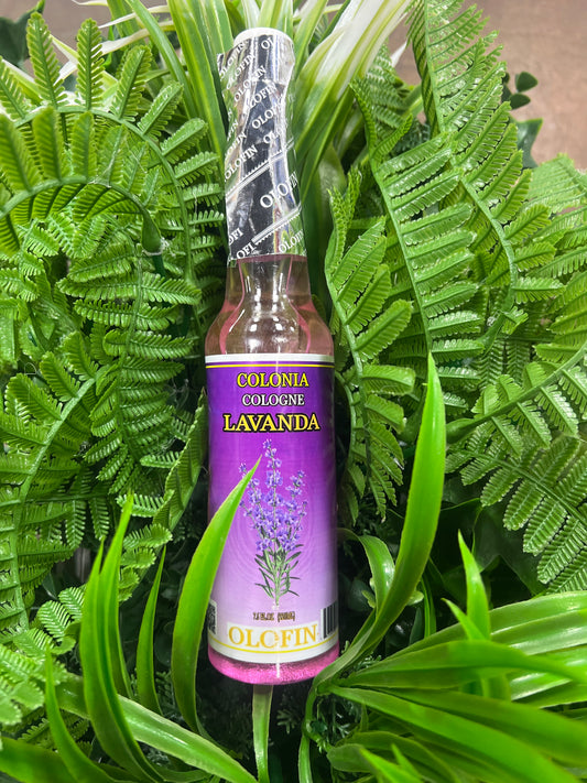Colonia Lavanda