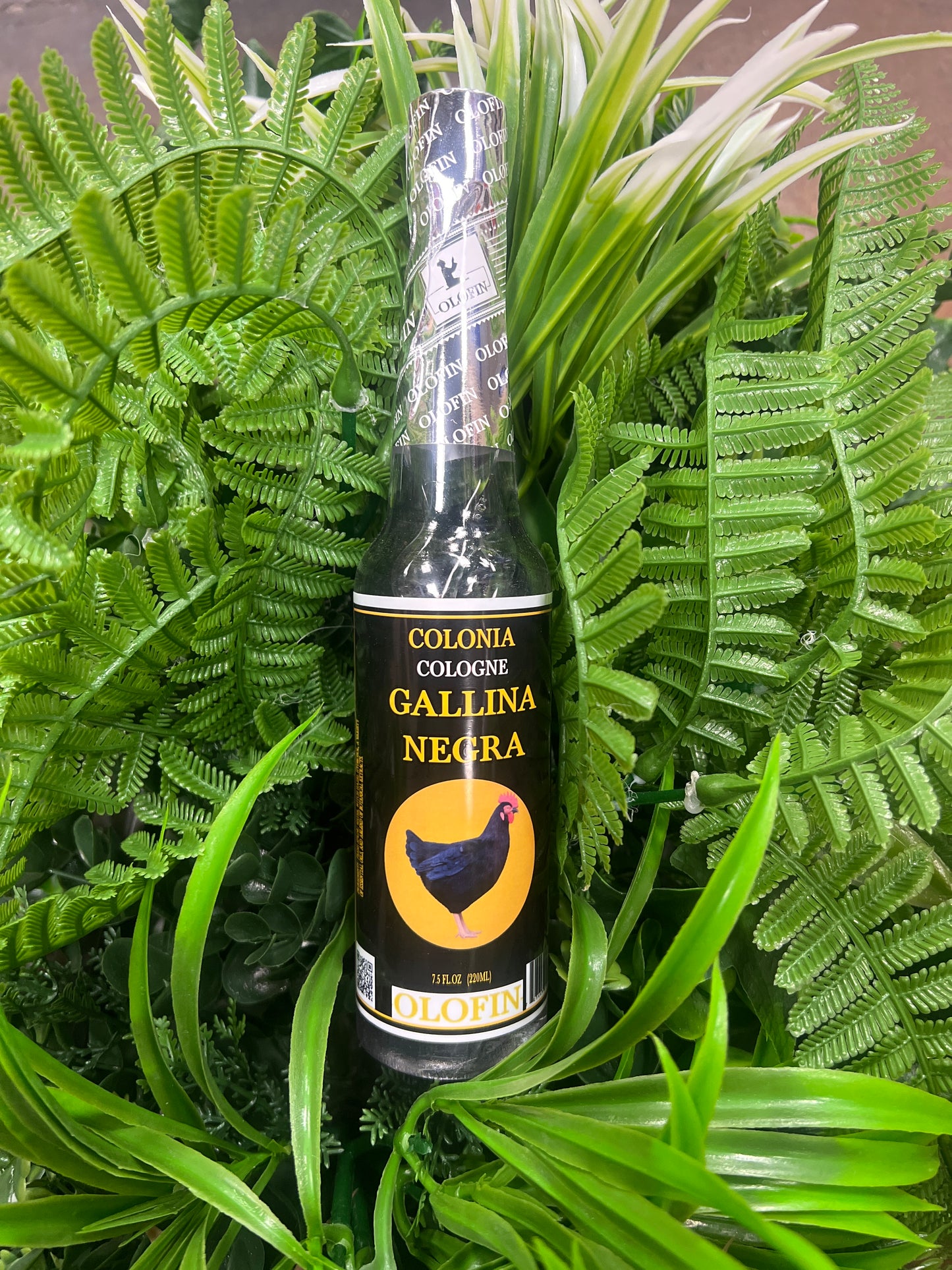 Colonia Gallina Negra