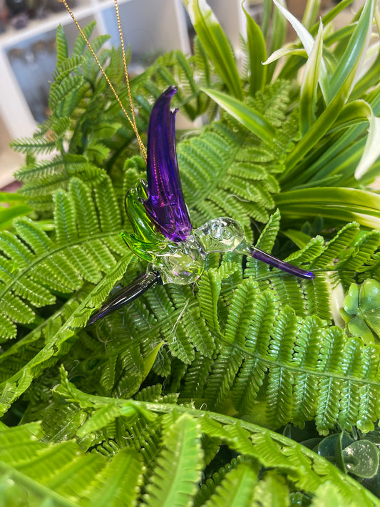 Colibrí color Morado con Verde
