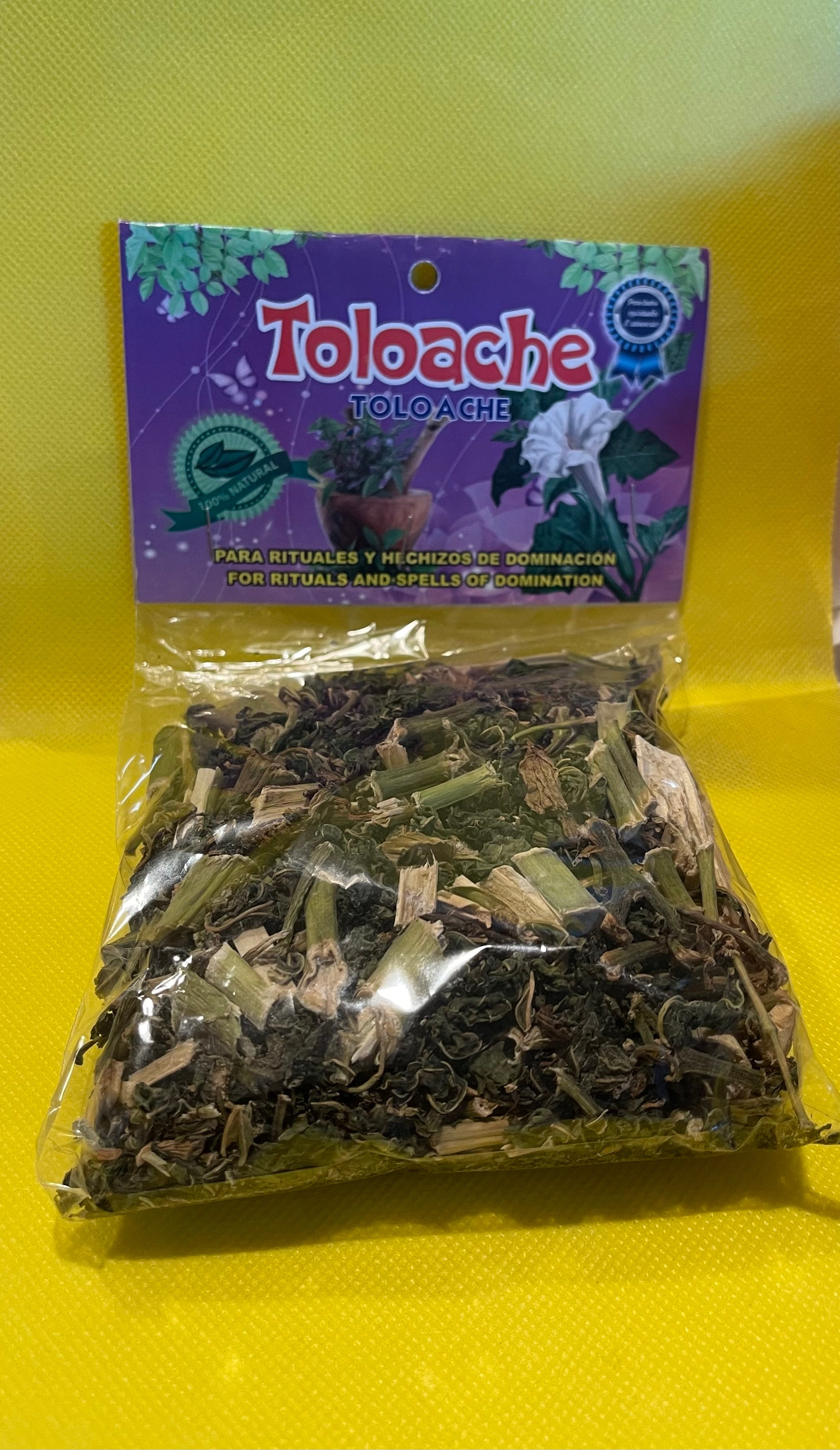 Planta Toloache – Cuarzos y Mas